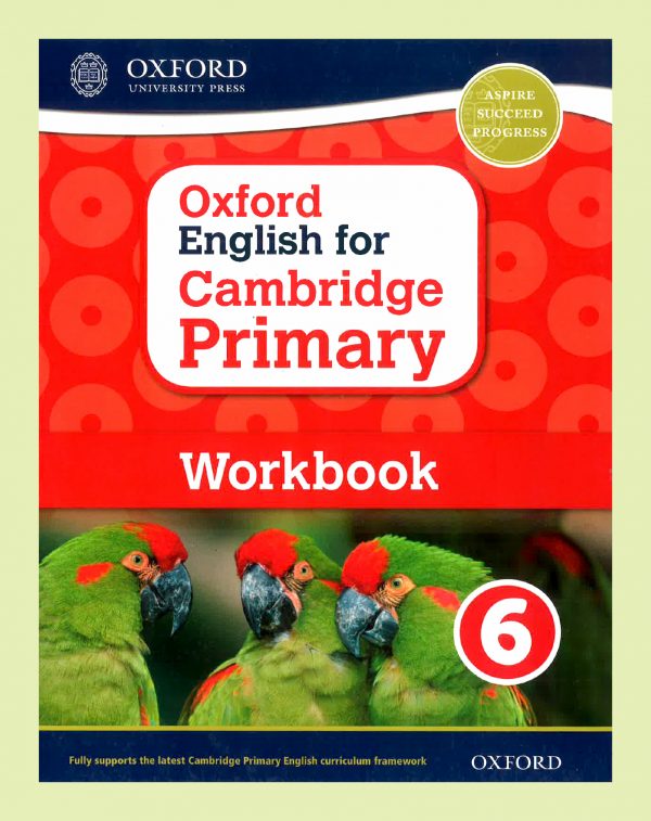 Cambridge Primary Workbook 6