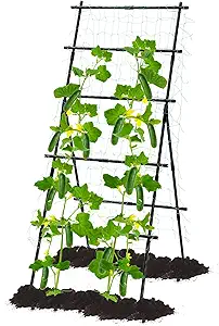 Lalahoni 6ft Metal Cucumber Trellis – A-Frame Garden Trellis for Climbing Plants, Vegetables, Tomatoes, Peas, Beans, and Cucumbers – Ideal for Outdoor Raised Beds
