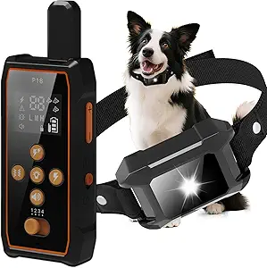 Dog Training Collar with Remote – 3600Ft Range | 4 Training Modes (Beep, Vibration, Static, Light) | Waterproof IPX7 for Swimming | 30-Day Rechargeable Battery | Adjustable for Small to Extra-Large Dogs