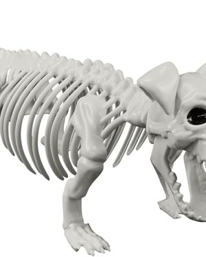 IDEAALS Halloween Dog Skeleton Decoration – 24" Posable Plastic Skeleton with Movable Joints for Realistic Spooky Fun, Perfect for Outdoor Graveyards, Haunted Houses, and Halloween Parties