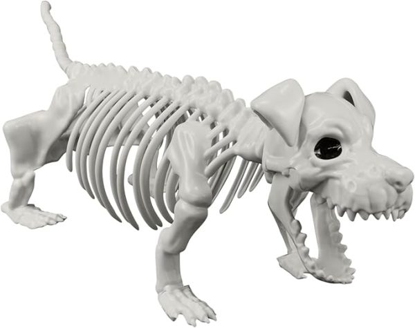 IDEAALS Halloween Dog Skeleton Decoration – 24" Posable Plastic Skeleton with Movable Joints for Realistic Spooky Fun, Perfect for Outdoor Graveyards, Haunted Houses, and Halloween Parties