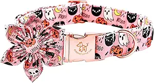 Elegant Fall Dog Collar with Flower – Halloween Pumpkin Design | Cute Pet Collar for Girls, Available in X-Large