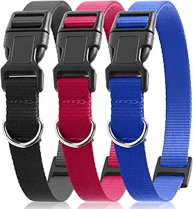 PetJoy Adjustable Nylon Dog Collar Set – Pack of 3 with D-Ring for ID Tags & Leash Attachment, Quick-Release Buckle