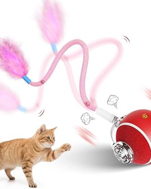 Interactive Electric Cat Toy for Indoor Cats – 3-Mode Moving Ball with Feather Tail, 800mAh Battery, Quiet Operation – Automatic Fun for Kittens and Adult Cats