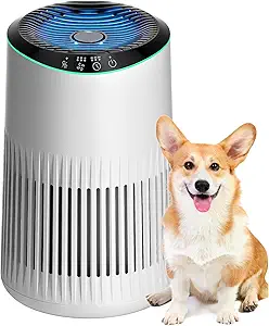 Bedroom Air Purifier for Home – Smoke & Odor Removal with Fragrance Sponge, Small Size with Sleep Mode, 3 Settings, Blue Night Light – White, 1 Pack