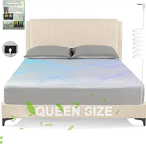 Queen Size Grounding Sheet – Fitted Bed Sheet with 10% Pure Silver Fiber & 90% Organic Cotton, Gray (80"x60"x15") | Supports Better Sleep & Wellness