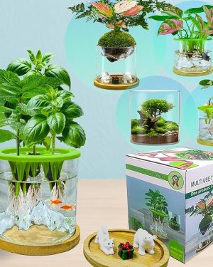 Versatile Plant Propagation Station & Hydroponic Glass Planter – A stylish terrarium kit perfect for growing fresh indoor herbs. Ideal as a thoughtful Christmas or birthday gift for gardeners, moms, or plant lovers. Perfect for home or office décor, this elegant glass planter combines function and beauty for any space.