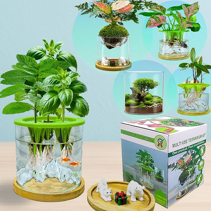 Versatile Plant Propagation Station & Hydroponic Glass Planter – A stylish terrarium kit perfect for growing fresh indoor herbs. Ideal as a thoughtful Christmas or birthday gift for gardeners, moms, or plant lovers. Perfect for home or office décor, this elegant glass planter combines function and beauty for any space.