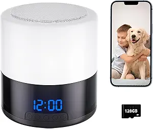 1080P Indoor WiFi Security Camera with Bluetooth Speaker