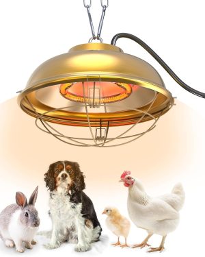 300W Heat Lamp for Chicken Coops – Professional Waterproof Heater for Indoor & Outdoor Use