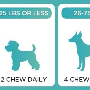 40-Pack Indoor Dog Pads – Absorbent Training & Potty Pads for Puppies and Small Dogs