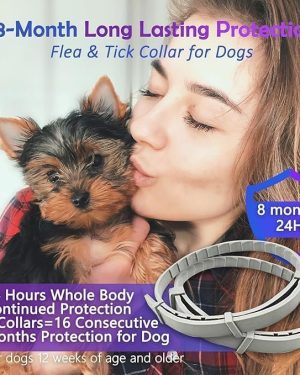 Adjustable Dog Collar for Girls & Boys – Unisex Pet Collar for Female & Male Dogs, Model ZSGH-000209-